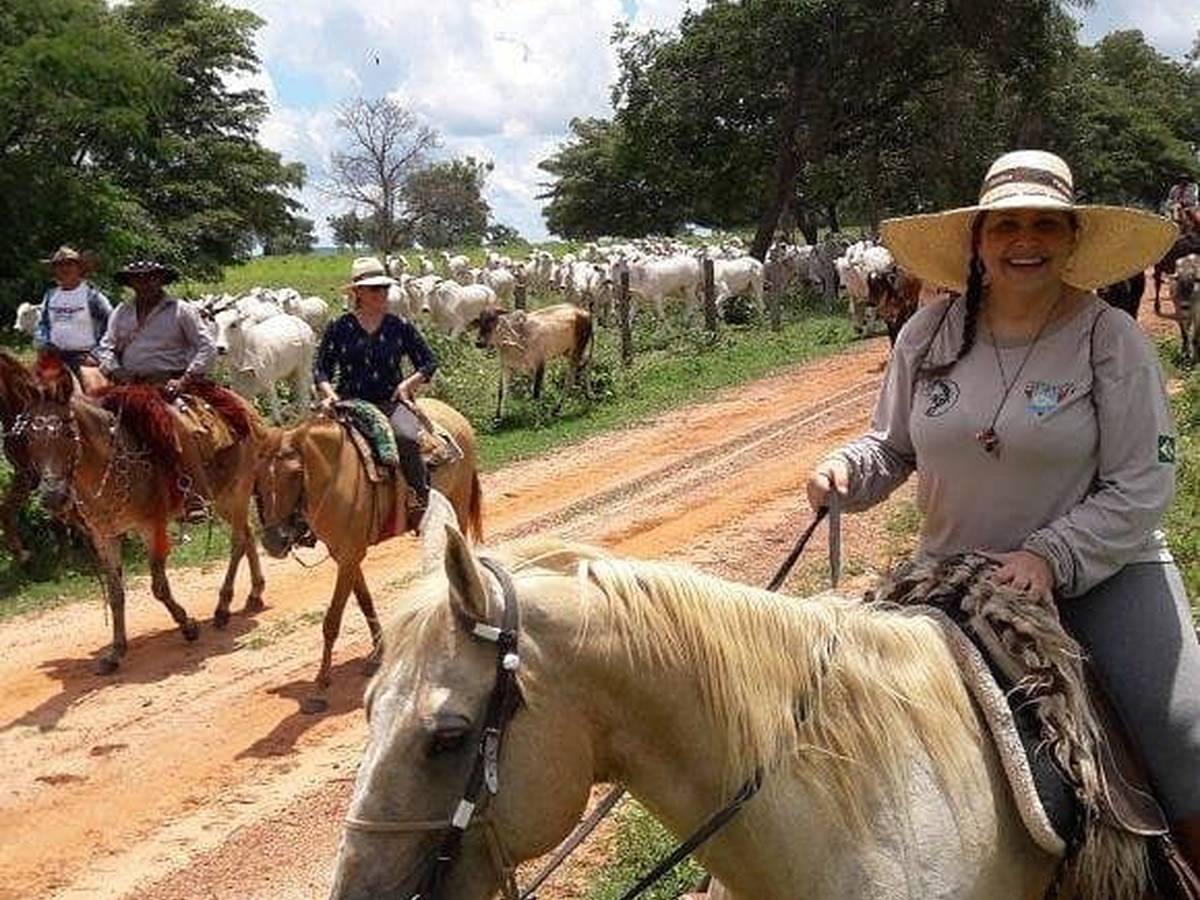 Peão tocando a boiada - Mato Grosso